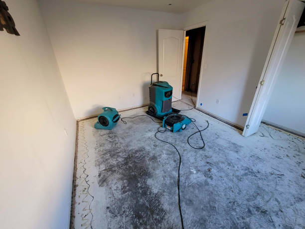 Best Basement water damage restoration  in Morrow, GA