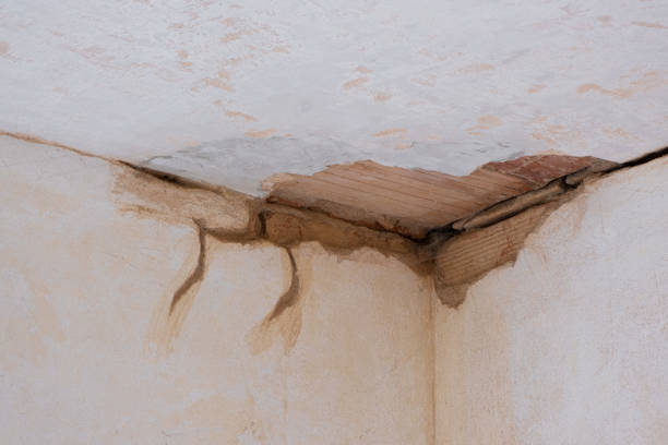 Best Water damage restoration process  in Morrow, GA