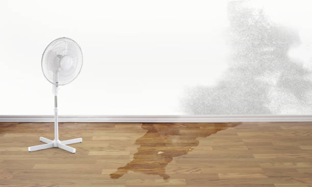 Best Ceiling water damage repair  in Morrow, GA
