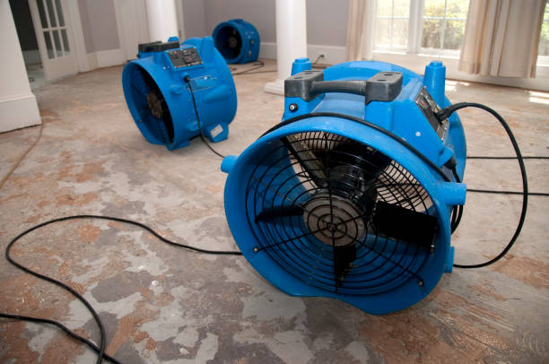 Best Water damage cleanup near me  in Morrow, GA