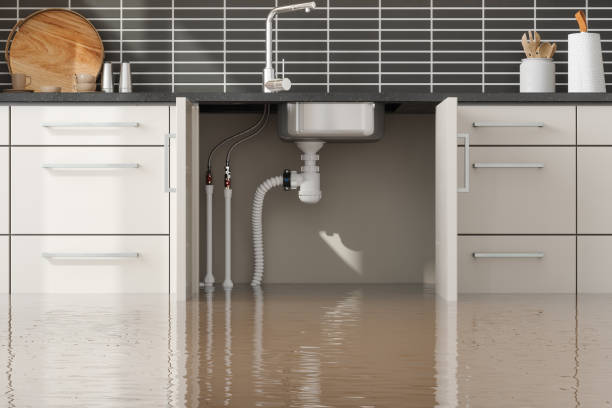 Best Ceiling water damage repair  in Morrow, GA