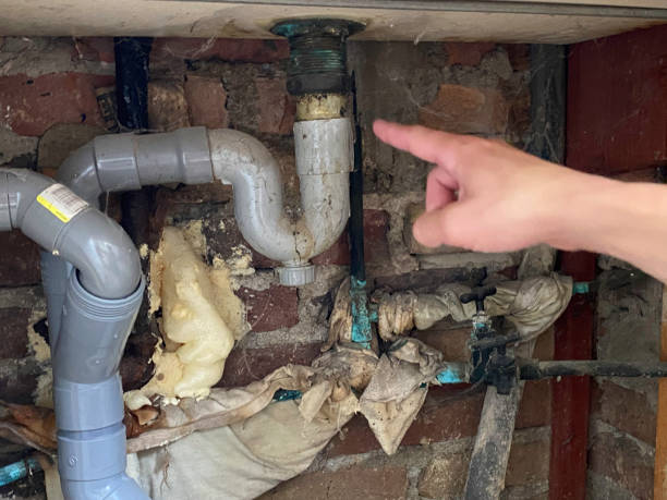 Best Carpet water damage restoration  in Morrow, GA