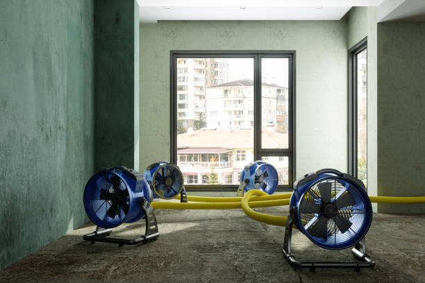 Best Carpet water damage restoration  in Morrow, GA